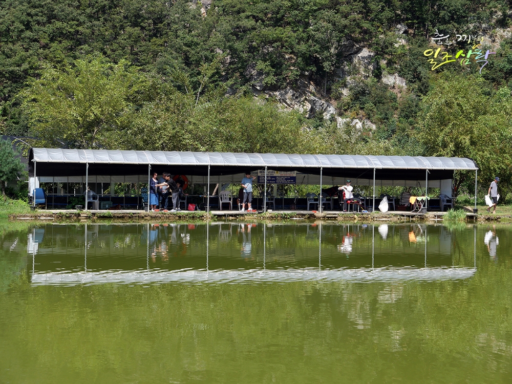 L1012470 copy.jpg